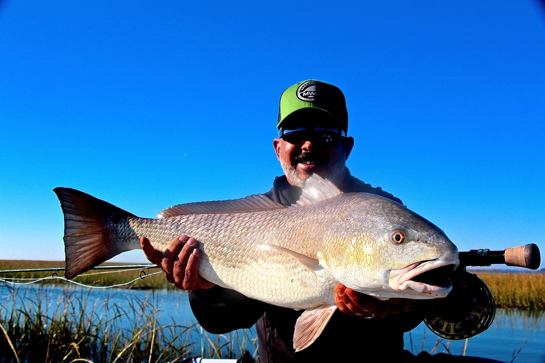 fly fishing, tailing big redfish in the grass in Beaufort South Carolina