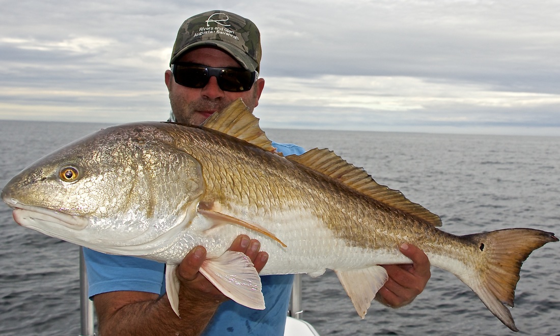 Beaufort  Fly Fishing Guide, Bull Redfish in Beaufort South Carolina