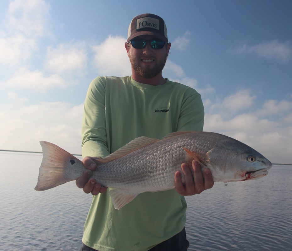 flats fishing Beaufort South Carolina, Tailing Redfish in the low country of Beaufort South Carolina, redfishing Beaufort South Carolina