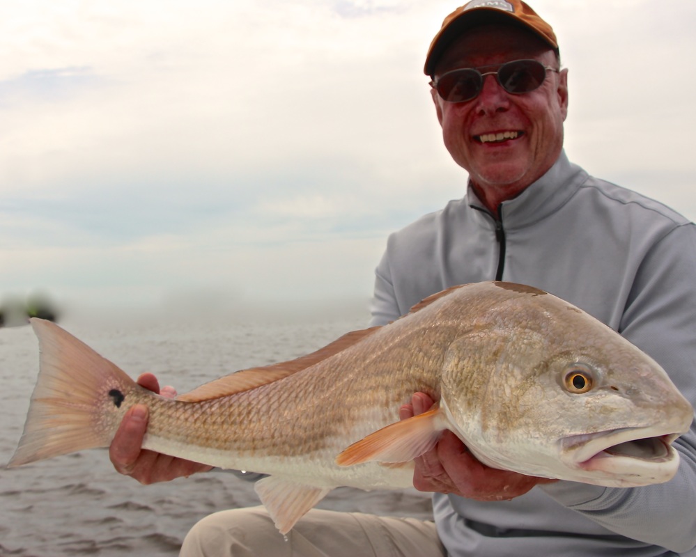 Beaufort Fly Fishing, Low tide Redfish in Beaufort South Carolina