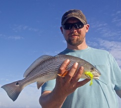 Tailing redfish in January