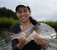 redfish on artificials, sight fishing Hilton Head Island in the marsh, inshore fly fishing Hilton Head Island South Carolina