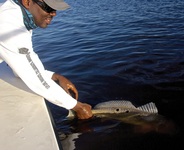 Isaac Payne from SCAD releasing a redfish in Hilton Head South Carolina