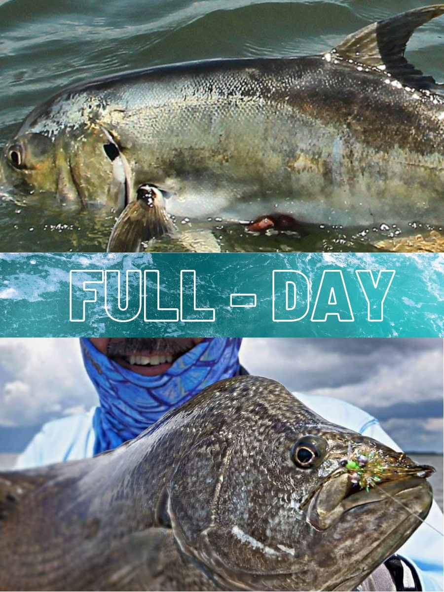 Full Day Beaufort Fishing Charter