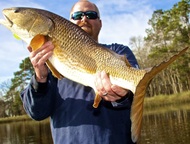 Steve from May River Electric catching some redfish in bluffton sc