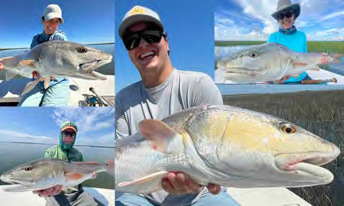 Picture collage of big redfish on the flat in Hilton Head
